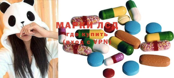шишки Магас