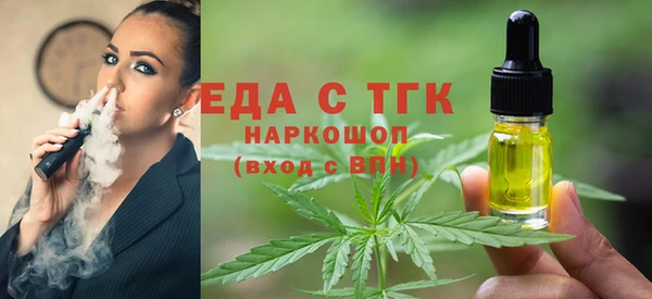 шишки Магас