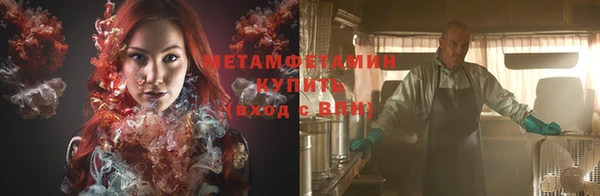 шишки Магас