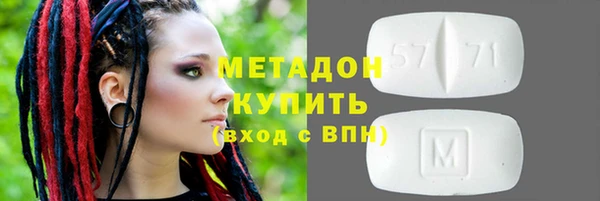 шишки Магас