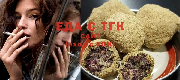 шишки Магас