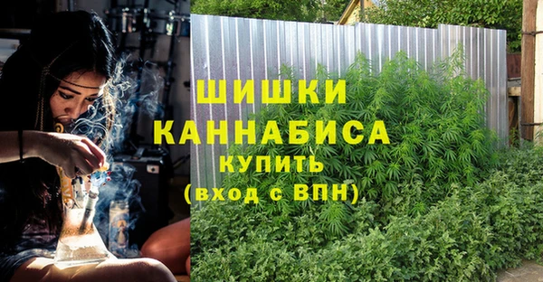 шишки Магас