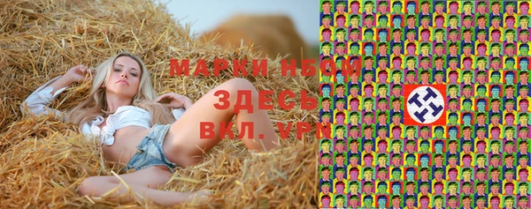 шишки Магас