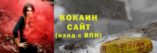 шишки Магас