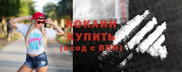 шишки Магас